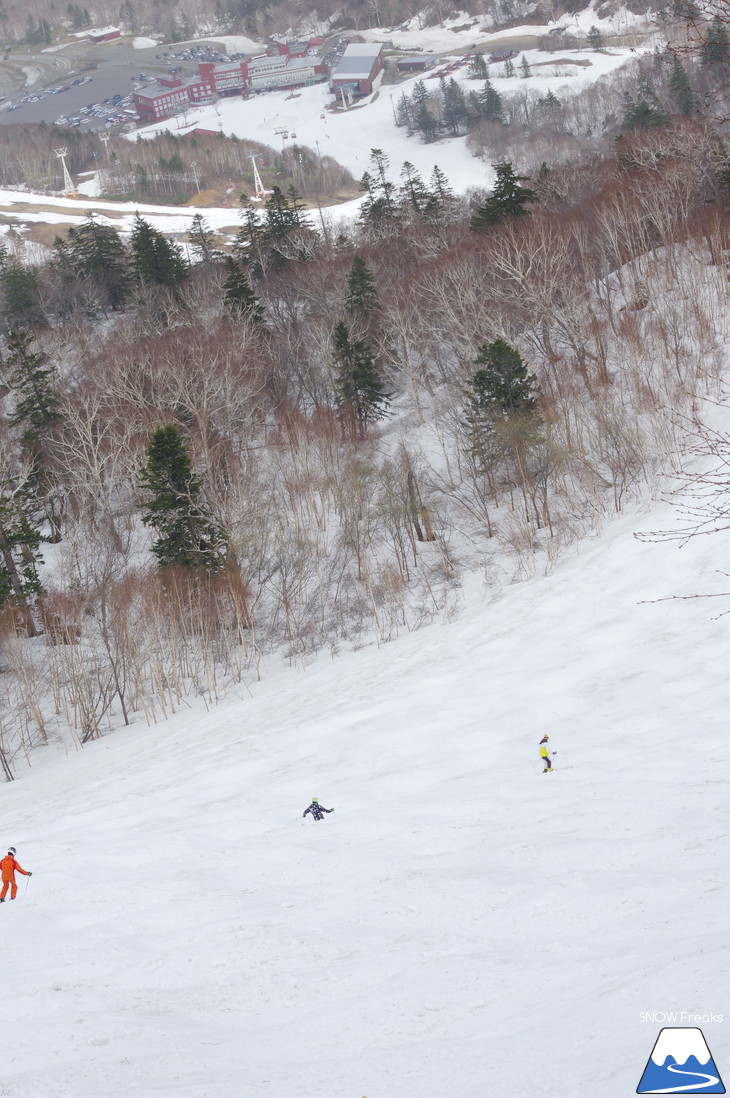 札幌国際スキー場 積雪豊富☆明日の営業最終日も、ほぼ全面滑走可能です!!